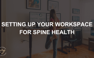 Office Ergonomics – Setting Up Your Workspace for Spine Health